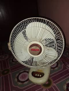 Royal fan