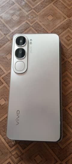 VIVO
