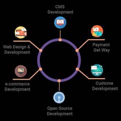 I am professional web developer