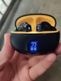 Earpods