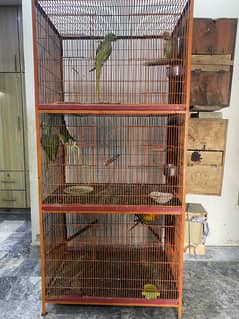 Birds cage