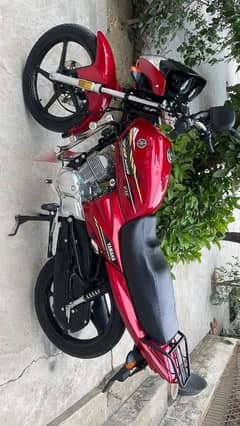 Yamaha