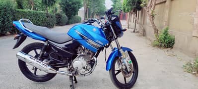 Yamaha