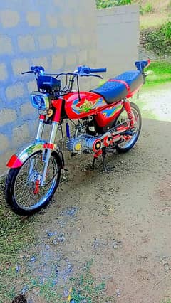 CD 70 Unique