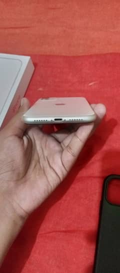 iPhone 11 for sale