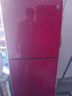 Pel refrigerator 10/ 10 Condition Glass Door
