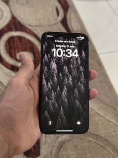 Apple 12 pro max PTA Approved