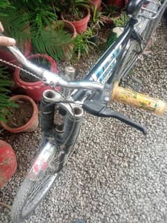 Sony bicycle for sale