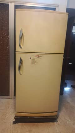 Fridge