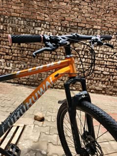 imported sport's bicycle