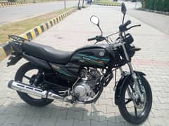Yamaha ybz DX Black.