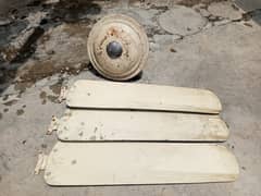 Ceiling Fan for Sale