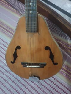 Mandolin (octave guitar)