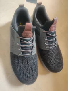 Sketchers