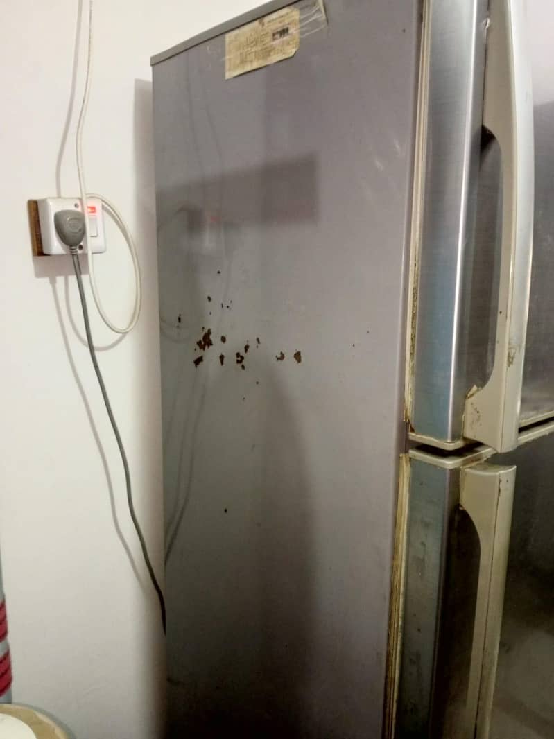 PELL FRIDGE 6