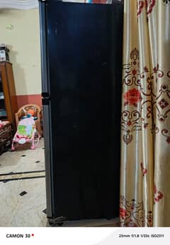 Orient Fridge