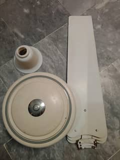 Ceiling Fan for sale.