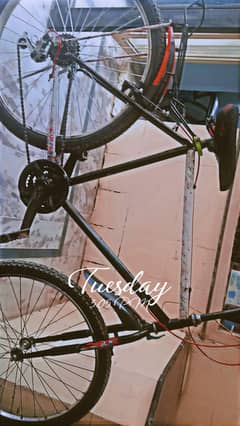 phonex cycle