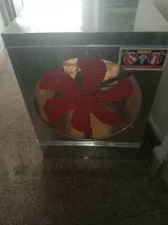 My