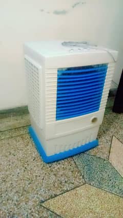 room colors for sall 03125683562