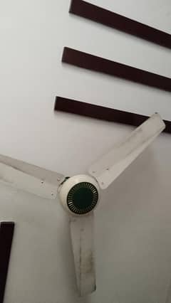 Ceiling Fans available (5pieces)