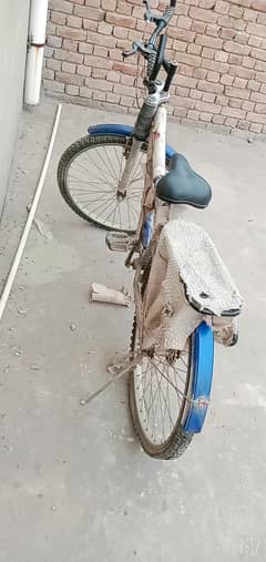 Bicycle