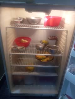 refrigerator