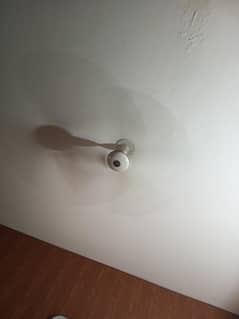 ceiling