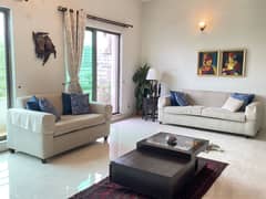 Living Room Comfy Sofa