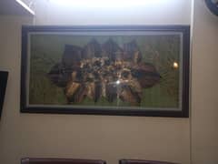 3D picture Home decor