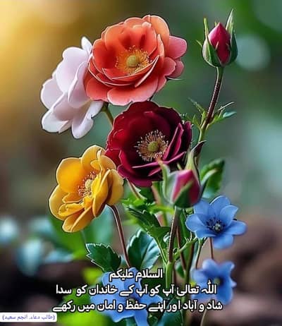 Bhatti sb