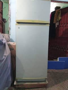 Haier