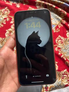 Iphone XR jv