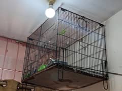 cage for birds