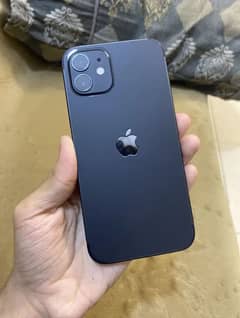 iPhone12