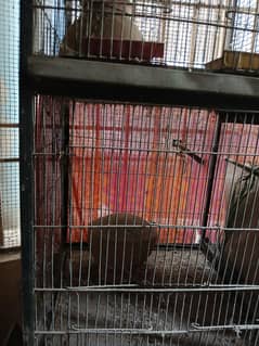 Eight Portions Cage for bird's
