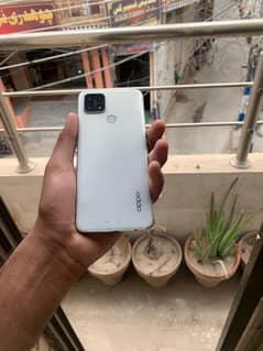 oppo