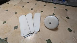 used Fan