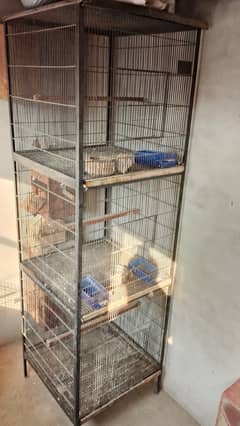 cage for sale 03127093372
