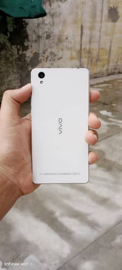 vivo