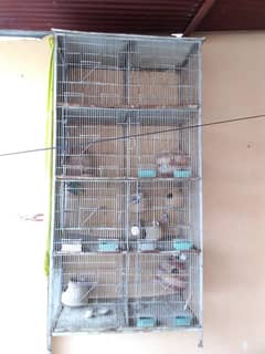 cages