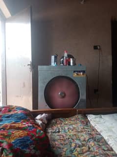 ne