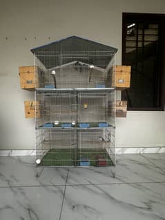 Love Birds Pair + 3-Storey Cage with Nest Box & Accessories