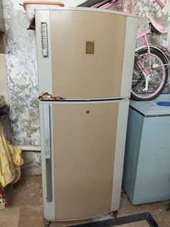 Fridge