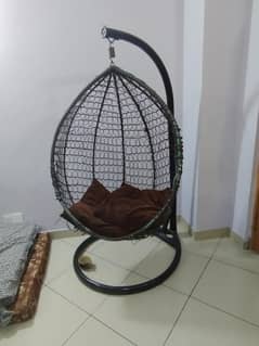 egg