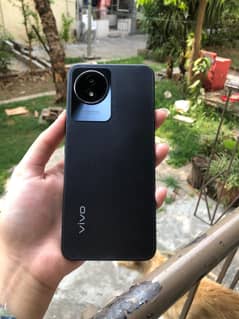 Vivo