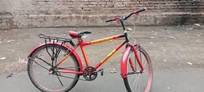 Phoneix cycle  urgent sale