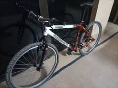 Mountain bike