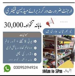03095394924 what'sapp