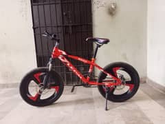 "GENTLY USED BICYCLE - ALMOST NEW - FOR SALE